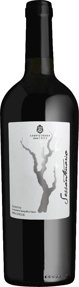 Vorschau: 6er Vorteilspaket - Sessantenario Malvasia IGT - Cantina Sampietrana