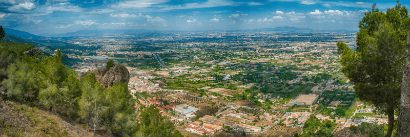 vignoble-casa-rojo-murcia