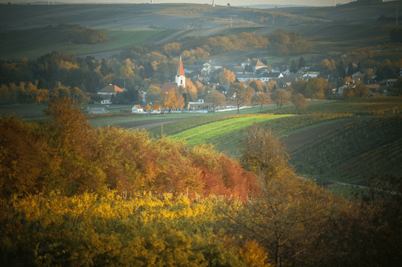 Weinrieder Quartier viticole