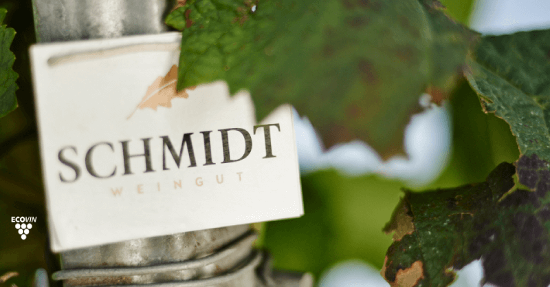 Domaine viticole écologique Schmidt Vin Domaine viticole écologique Schmidt Vin