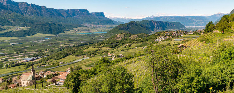 Tyrol du Sud Vallée de l'Adige Vignobles