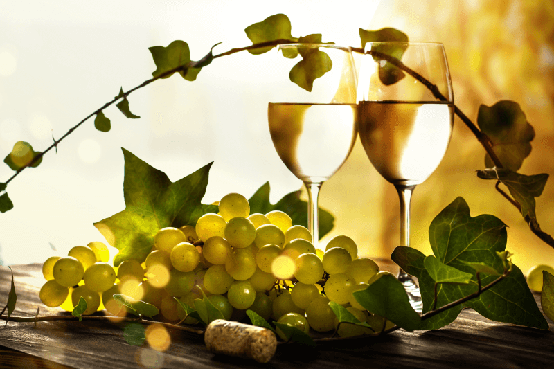 Sauvignon Blanc dans un verre Sauvignon Blanc dans un verre