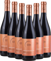 6er Vorteils-Weinpaket - Appassimento Negroamaro Primitivo - Luna Argenta