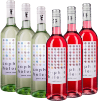 Vorschau: 6er Kennenlernpaket - Sophie Helene Weine von Weingut Hammel