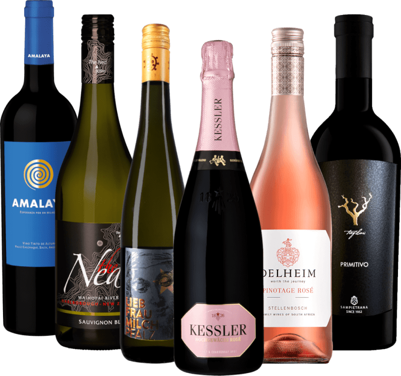 De favoriete wijnen van de VINELLO's - 6x degustatiepakket