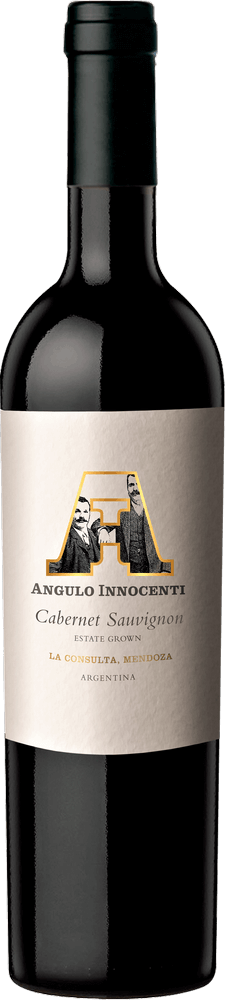 Vorschau: Versteckte Weinschätze aus Argentinien von VINELLO - 6er Entdeckerpaket