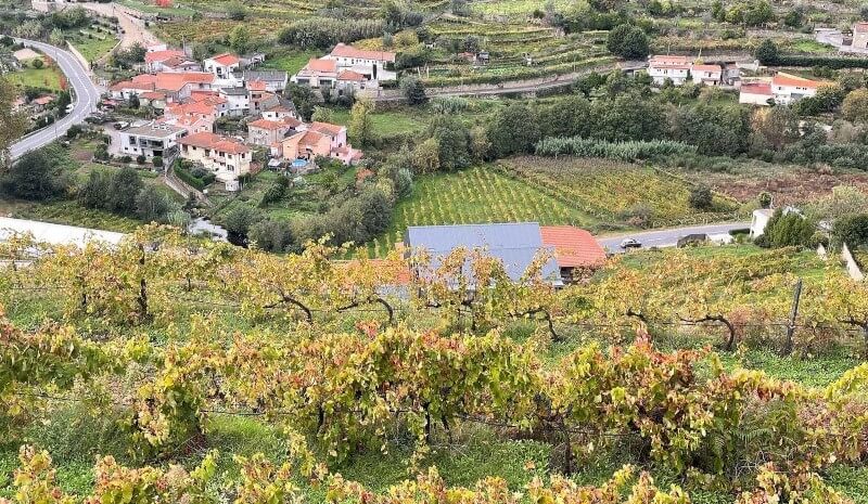 weingut-and_wines-weinberg-2 weingut-and_wines-weinberg-2