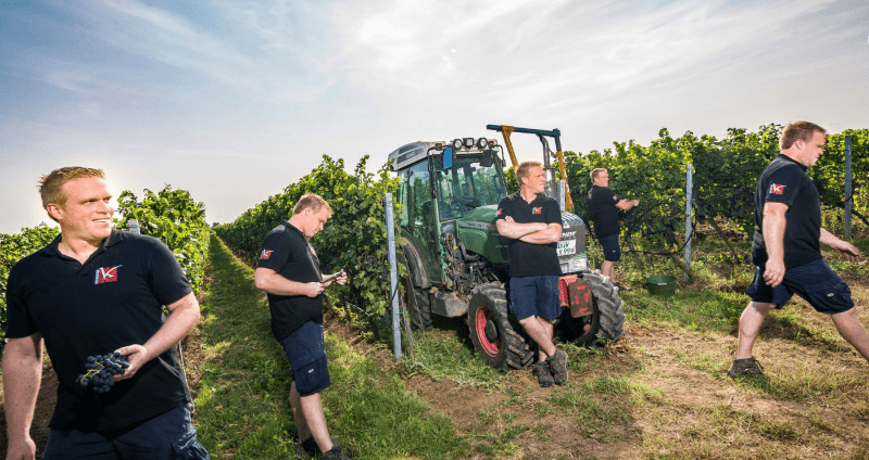 Domaine Kesselring - Lukas dans la vigne