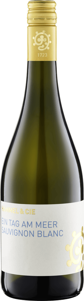 Vorschau: Ein Tag am Meer Sauvignon blanc trocken - Weingut Hammel - 12x Probierpaket