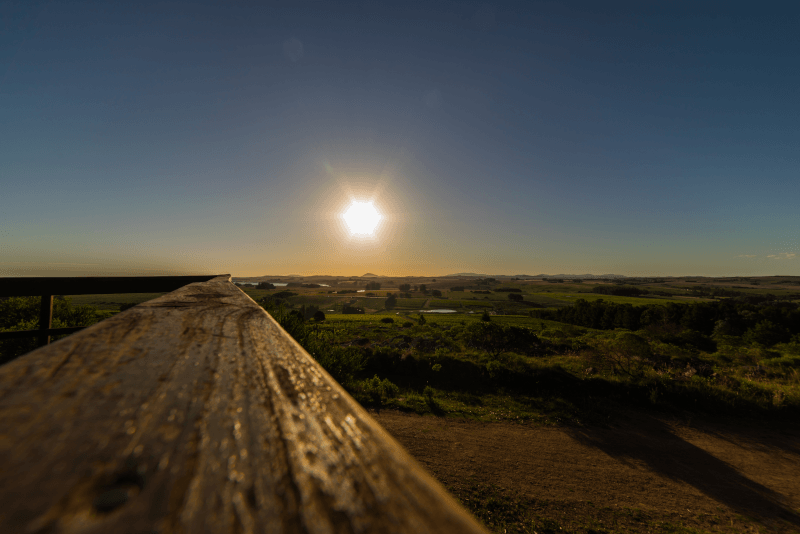 Zonsondergang boven wijngaarden in Uruguay