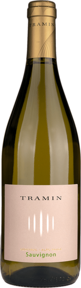 Vorschau: Diversité des vins de montagne - 6x Tyrol du Sud paquet de dégustation