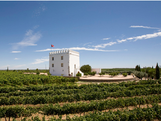 Domaine viticole portugais Esporão Esporao - Viticulture