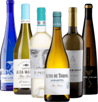 Die spritzige Vielfalt aus dem iberischen Norden - 6x Entdeckerpaket Alvarinho & Albariño