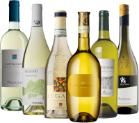 Vorschau: De perfecte zomerselectie uit Italië - proefpakket van 6 flessen