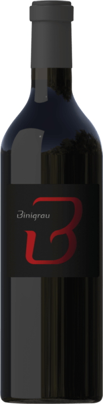 Negre 1,5 l Magnum - Binigrau