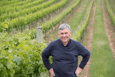Mark Lloyd in seinen Weinbergen Mark Lloyd in seinen Weinbergen