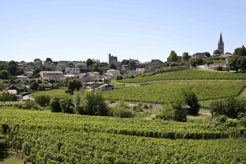Blick über die Weinberge mit Saint-Émilion im Hintergrund