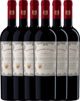 6er Vorteils-Weinpaket - Doppio Passo Primitivo Puglia IGT 2021 - CVCB