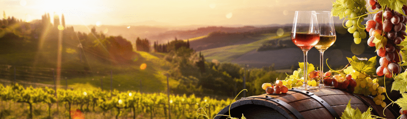 Wijn uit Toscane Wijn uit Toscane