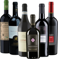 Vorschau: Les meilleurs champions du Primitivo de VINELLO - coffret découverte 12x