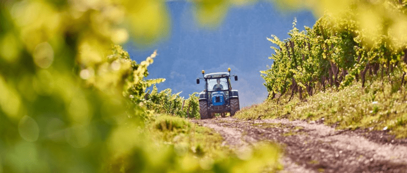 Tractor in de wijngaard van Karthaeuserhof