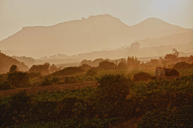 Gens et Pierres Weinberge Gens et Pierres Weinberge