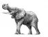 Elephant Gin GmbH