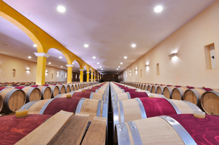 Château Reverdi Kelder