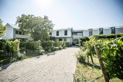 Weingut Kracher