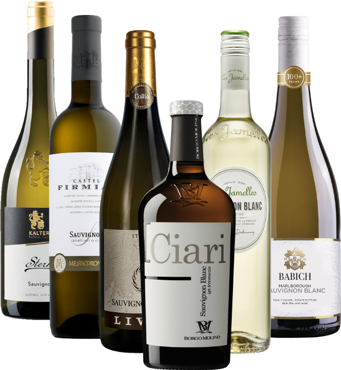 De fascinerende wereld van Sauvignon Blanc - 6x druivenrassenpakket