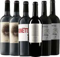 6er Kennenlernpaket - Rotweine von Ego Bodegas