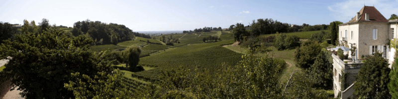 Vignoble du Château des Bardes