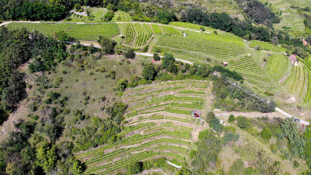 Ried Gaisberg mit Urban Stagard Ried Gaisberg mit Urban Stagard