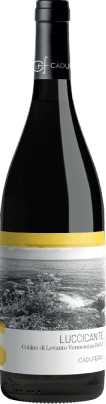 Luccicante Vermentino Colline Di Levanto - Cà du Ferrà