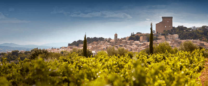 Terroirs Cellier des Princes
