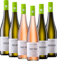 Das Frühlingstrio vom Weingut Winter - 6x Kennenlernpaket