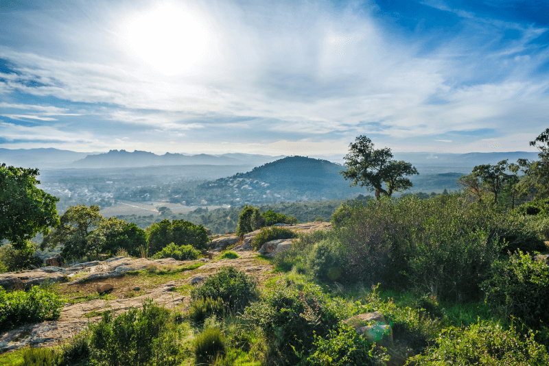 Domaine Terre de Tramontane Provence