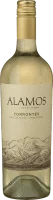 Torrontes Salta - Alamos