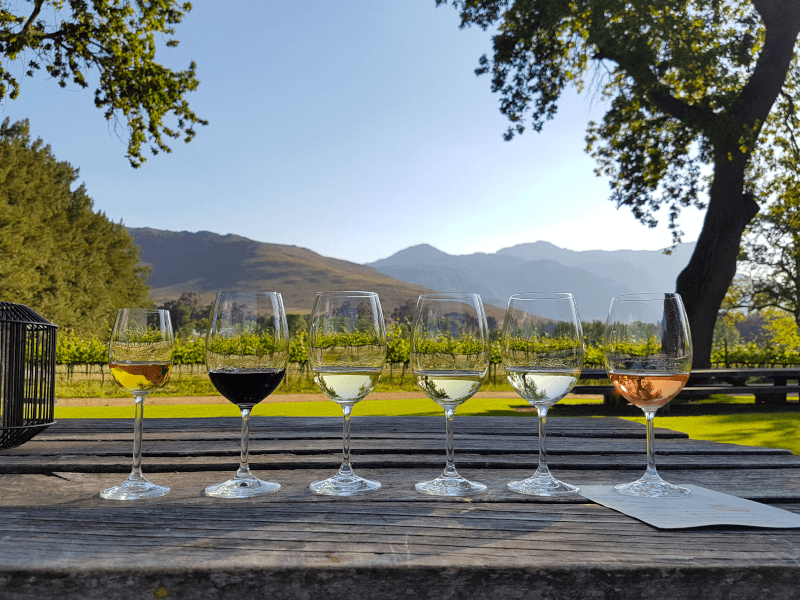 Weinprobe in Südafrika Weinprobe-in-Suedafrika