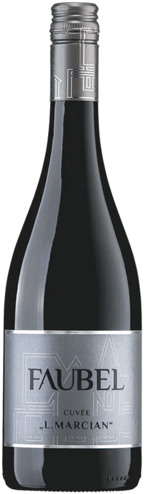 Vorschau: Fantastische wijnen van Weingut Faubel - 6x degustatiepakket