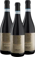 San Silvestro Appassimento Passito Piemonte Barbera DOC - Sartirano 3er Vorteilspaket