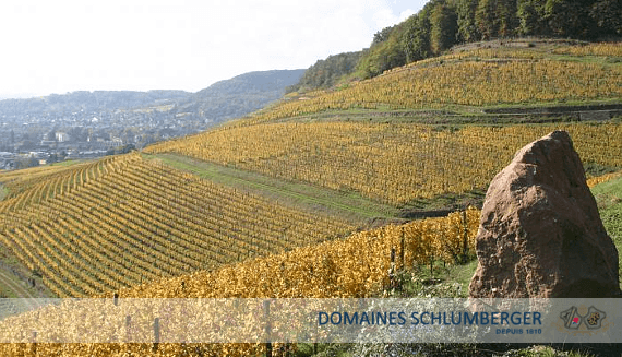 Domaines Schlumberger