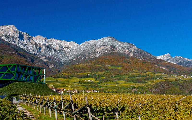 Cantina Tramin Weinberge Cantina Tramin Weinberge