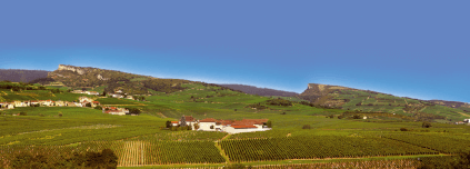 Vue du château de Beauregard