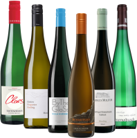 Die Riesling-Reise durch Deutschland - 6x Rebsortenpaket