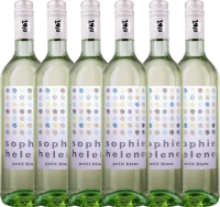 6er Vorteils-Weinpaket - Sophie Helene petit blanc - Weingut Hammel