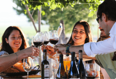 Dégustation de vin chez Bodegas Castano