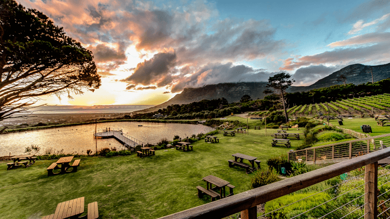 Cape Point Vineyards Wijngaard Meer Faciliteit
