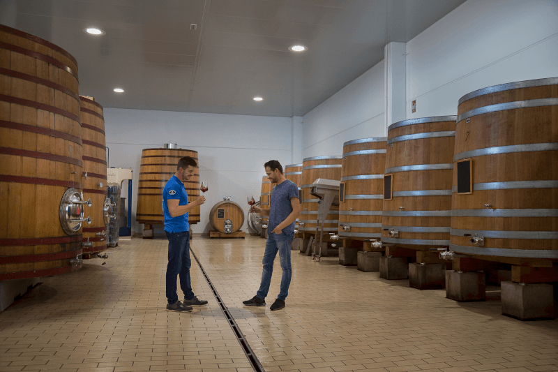 In de kelder van Bodegas y Viñedos Ponce