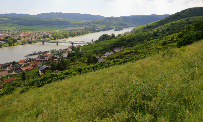 Krems an der Donau und Ried Steiner Schreck Krems an der Donau und Ried Steiner Schreck